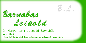 barnabas leipold business card